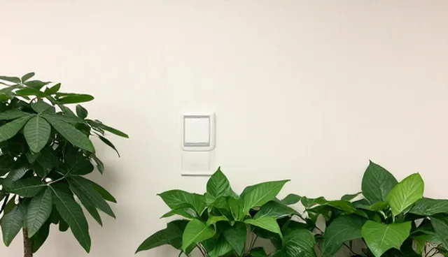 如何高效使用包车服务?常见问题解答